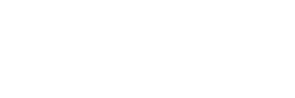 Wholesale Auto Group