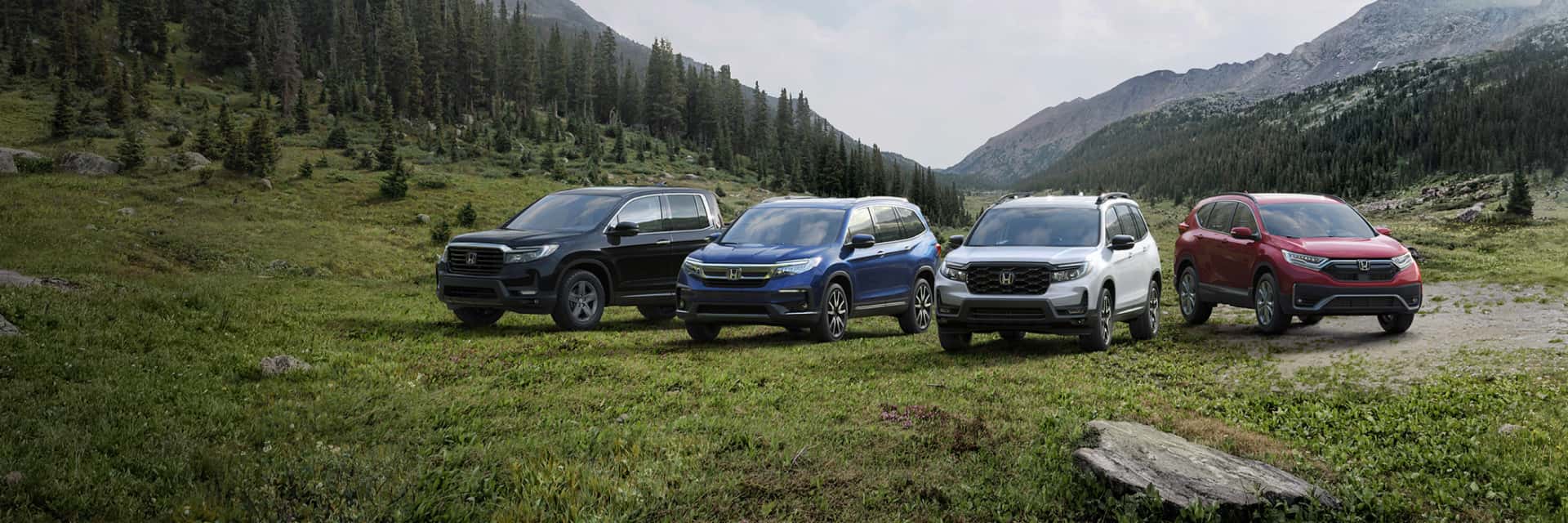 2024-Honda-lineup-parked-in-a-forest-s-valley