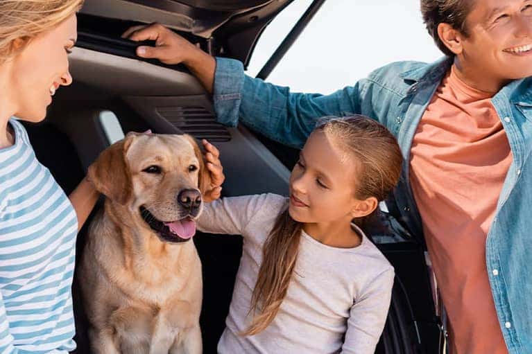 Happy-family-and-dog-sitting-in-the-back-of-a-car_mobile