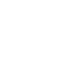 Nissan brand logo
