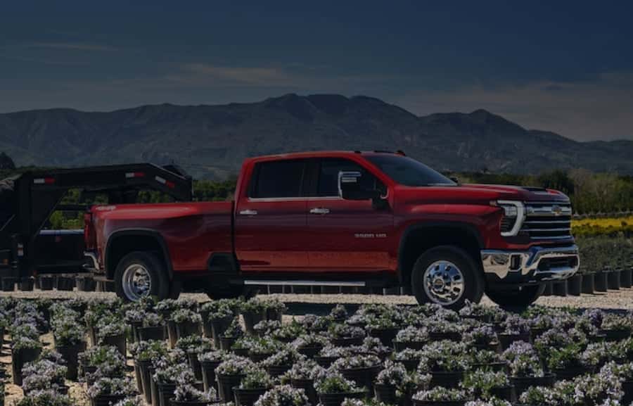 Silverado
