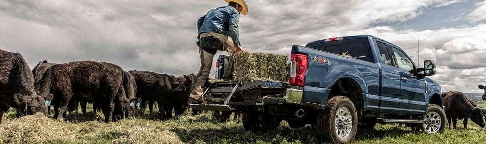 Ford F350